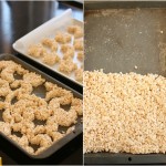 rice crispy scraps