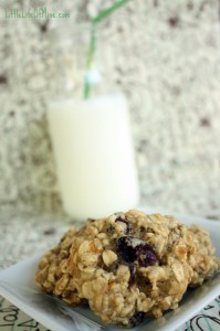 Oatmeal Orange Cranberry Cookies
