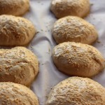 Homemade buns dough