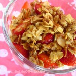 little chefs homemade granola