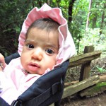 muir woods