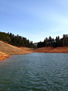 Shasta Lake