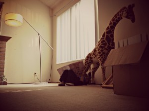 moving out