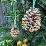 pinecone bird feeder