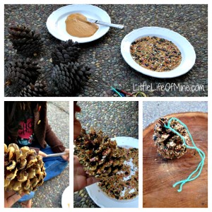 pinecone bird feeder steps