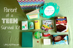 Parent of a Teen Survival Kit 4