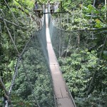 FRIM canopy walk