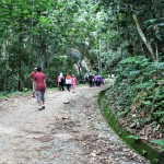 FRIM hike