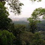IMG_9162