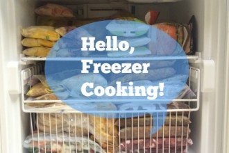 Freezer Cooking Intro
